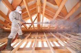 Best Insulation for Existing Homes  in Carnegie, OK