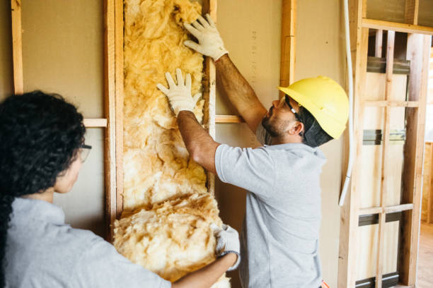 Best Radiant Barrier Insulation  in Carnegie, OK